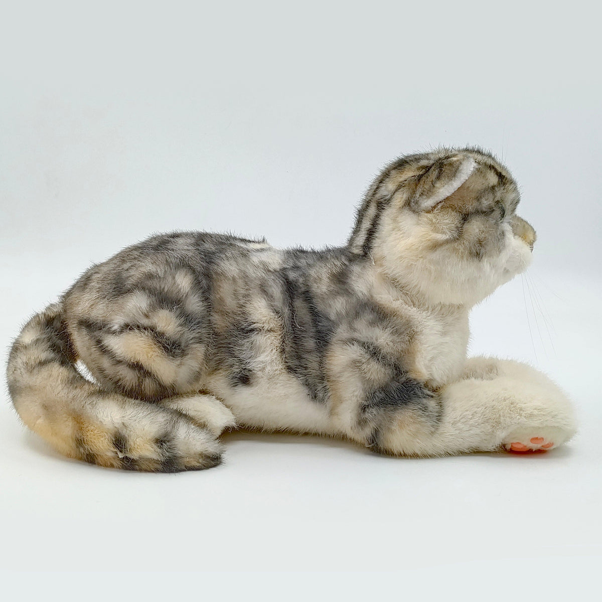 NO.13 Tappy Cat Order to Make