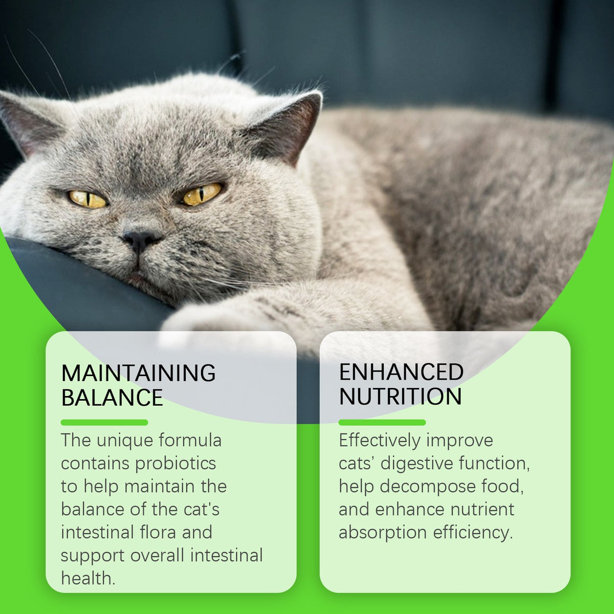 Cats With Probiotic Drops, Care For Cats Health And Vitality Care Absorb Nutritional Supplements