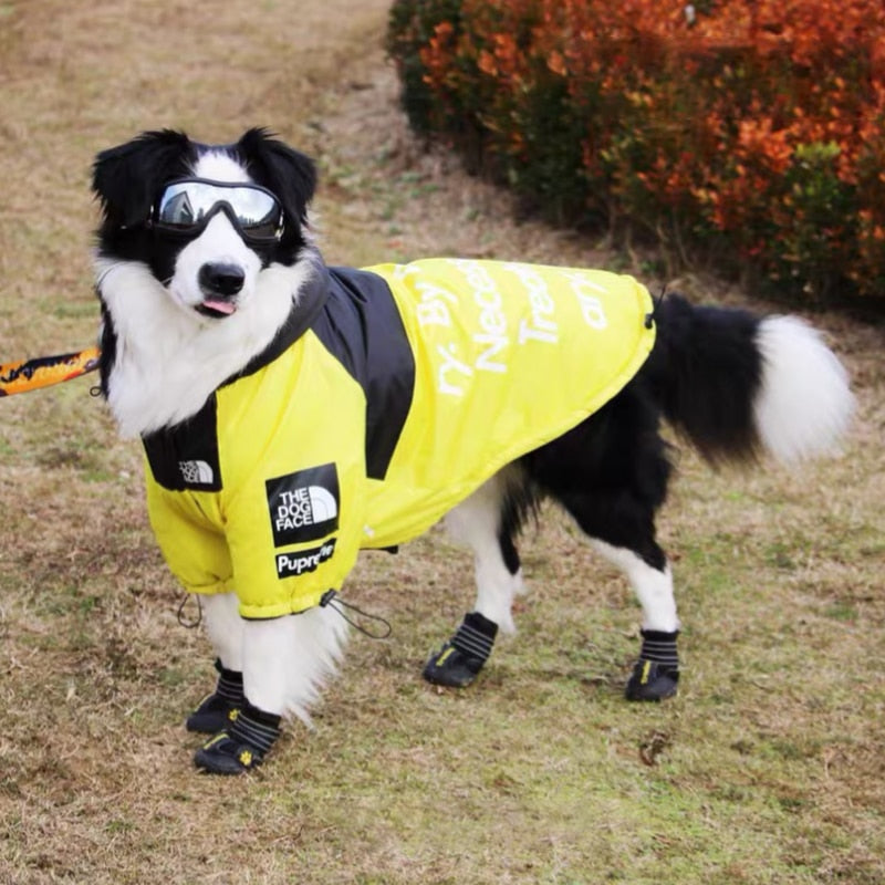 The Dog Face Windproof Waterproof Reflective Pet Cat Dog Jacket