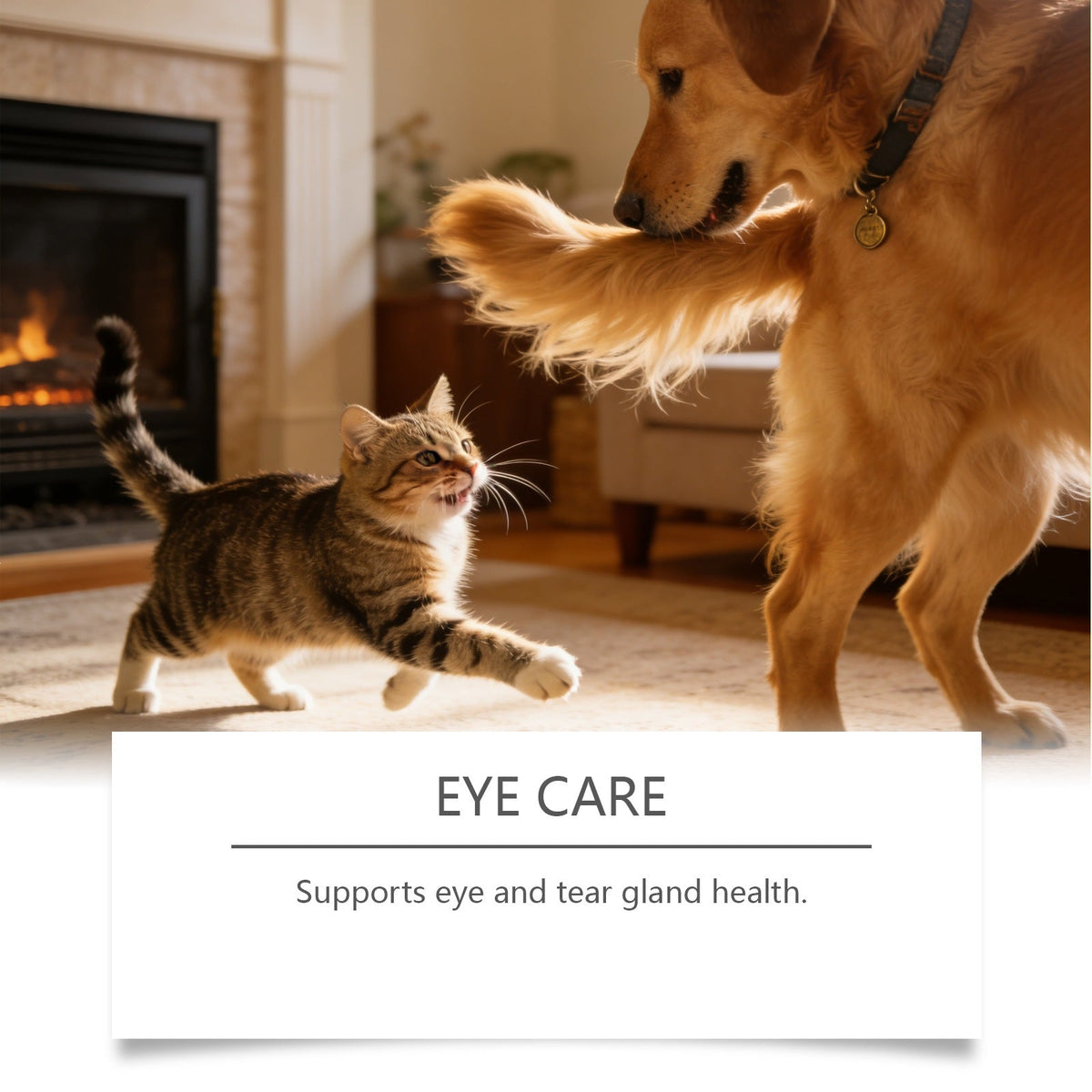 Kriath Pet Eye Oral Liquid Gentle Formula Keeps Eyes Clean, Ideal For Daily Care