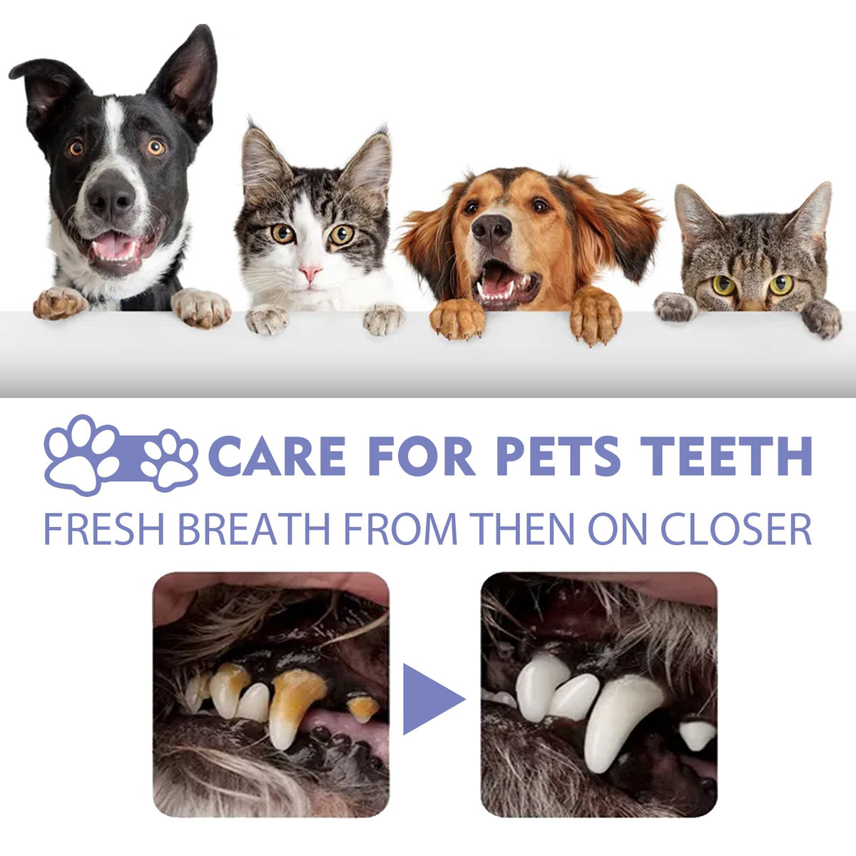 Tooth Cleaning Spray For Cats And Dogs, Remove Tooth Stains Fresh Breath Pets Oral Care Spray