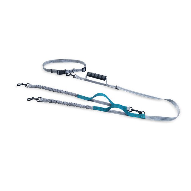 Multifunctional Handsfree Bungee Dog Leash