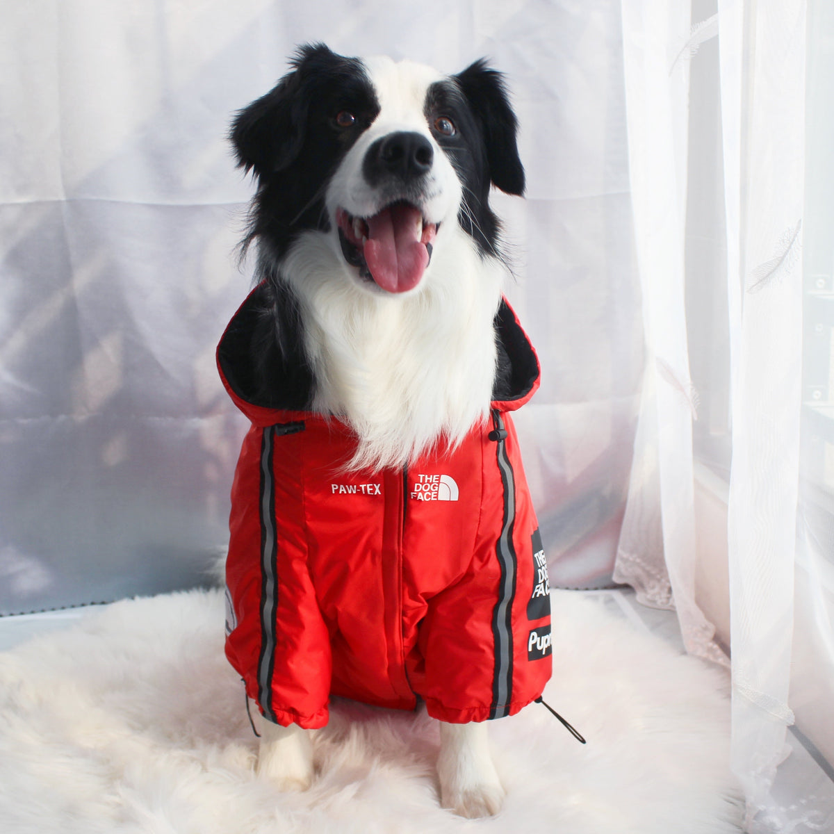 The Dog Face Windproof Waterproof Reflective Pet Cat Dog Jacket