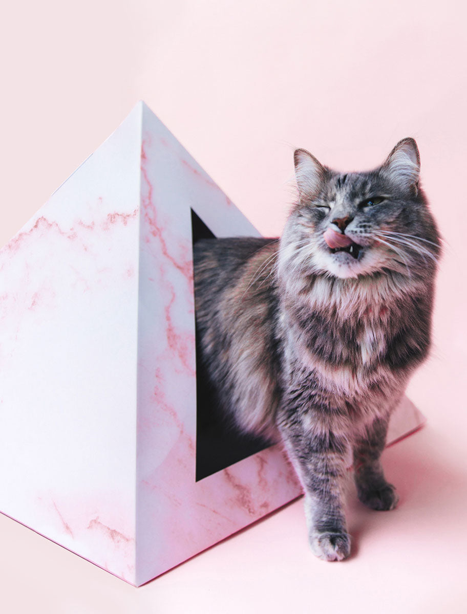 'Rose Quartz' Cardboard Cat Pyramid