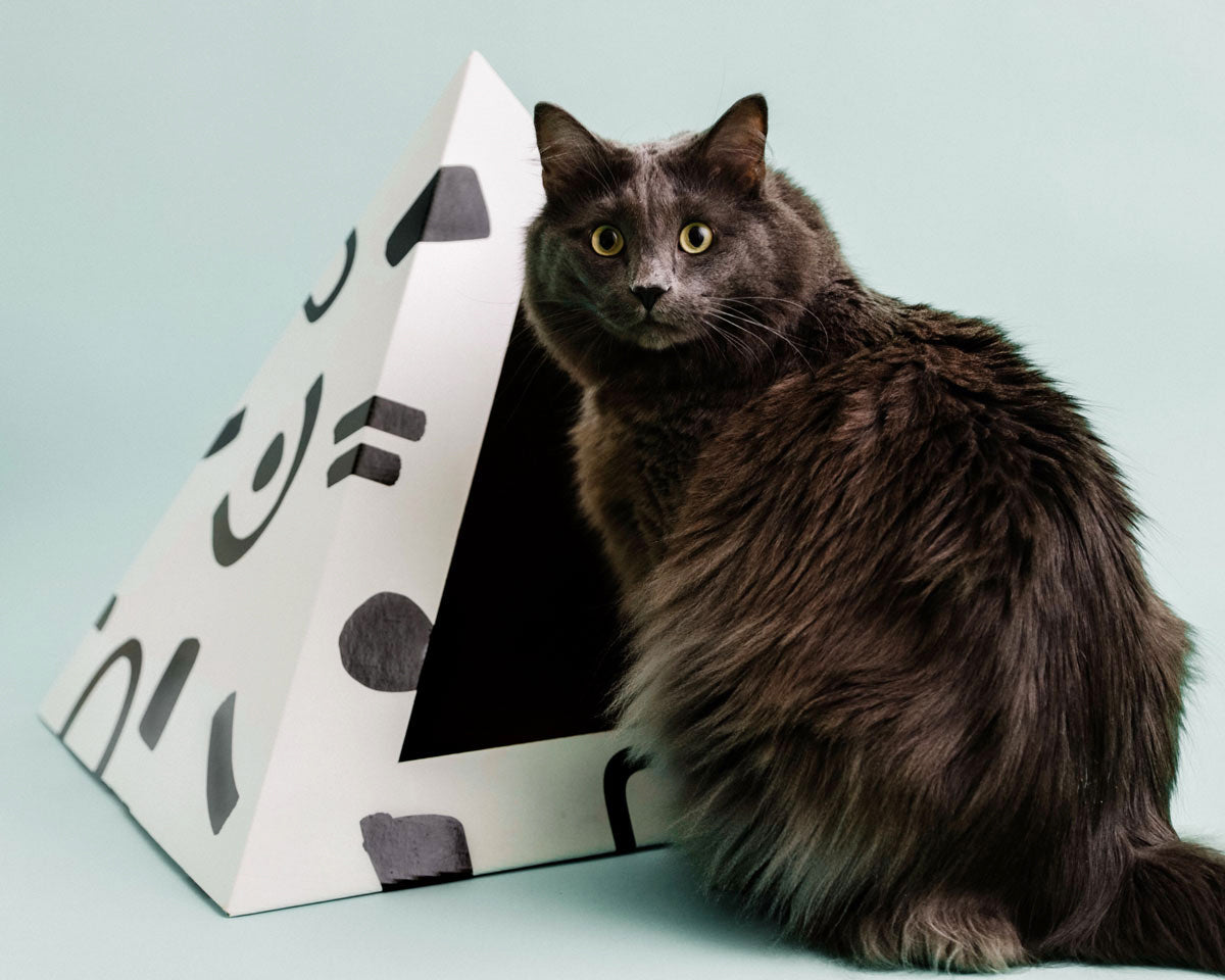 'Doodle' Cardboard Cat Pyramid