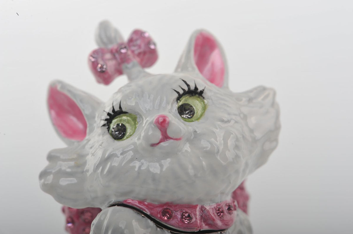 White and Pink Cat