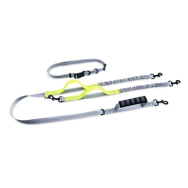 Multifunctional Handsfree Bungee Dog Leash
