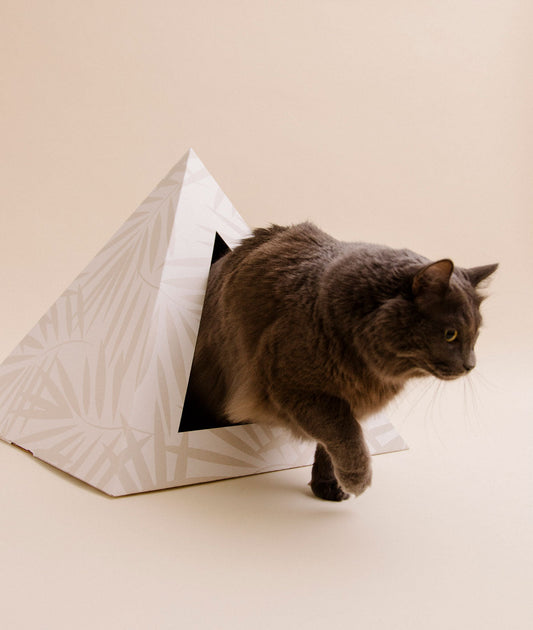 'Neutral Palm' Cardboard Cat Pyramid
