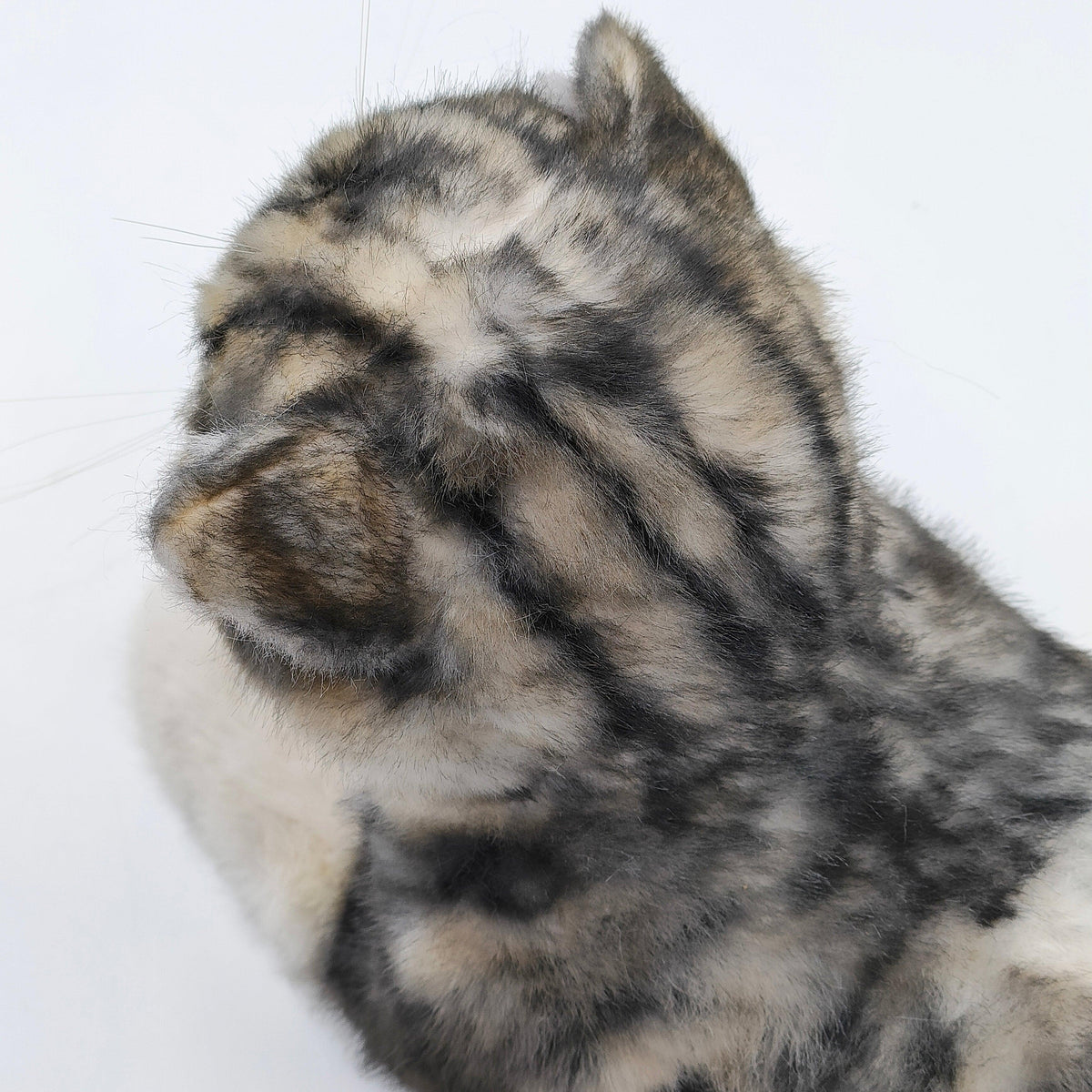 NO.13 Tappy Cat Order to Make