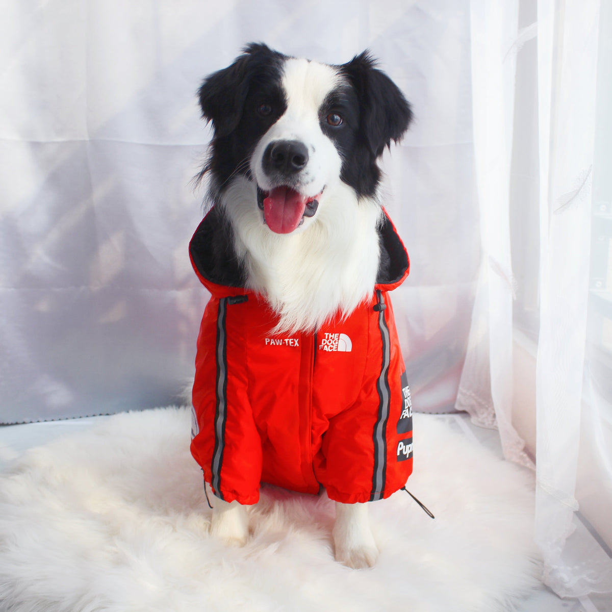 The Dog Face Windproof Waterproof Reflective Pet Cat Dog Jacket