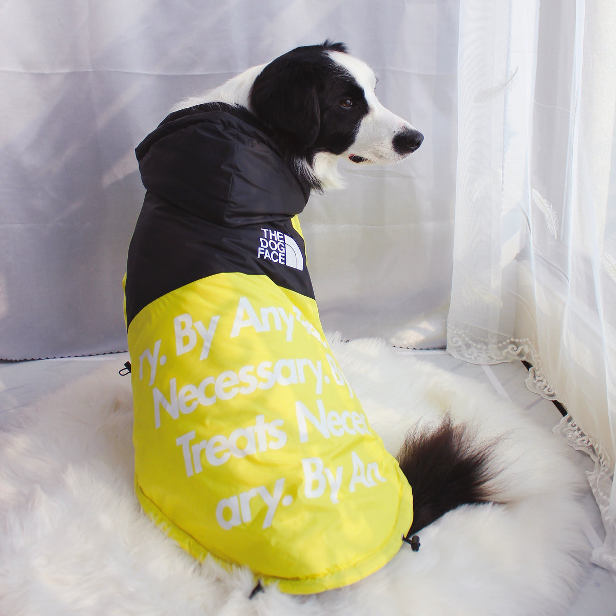 The Dog Face Windproof Waterproof Reflective Pet Cat Dog Jacket