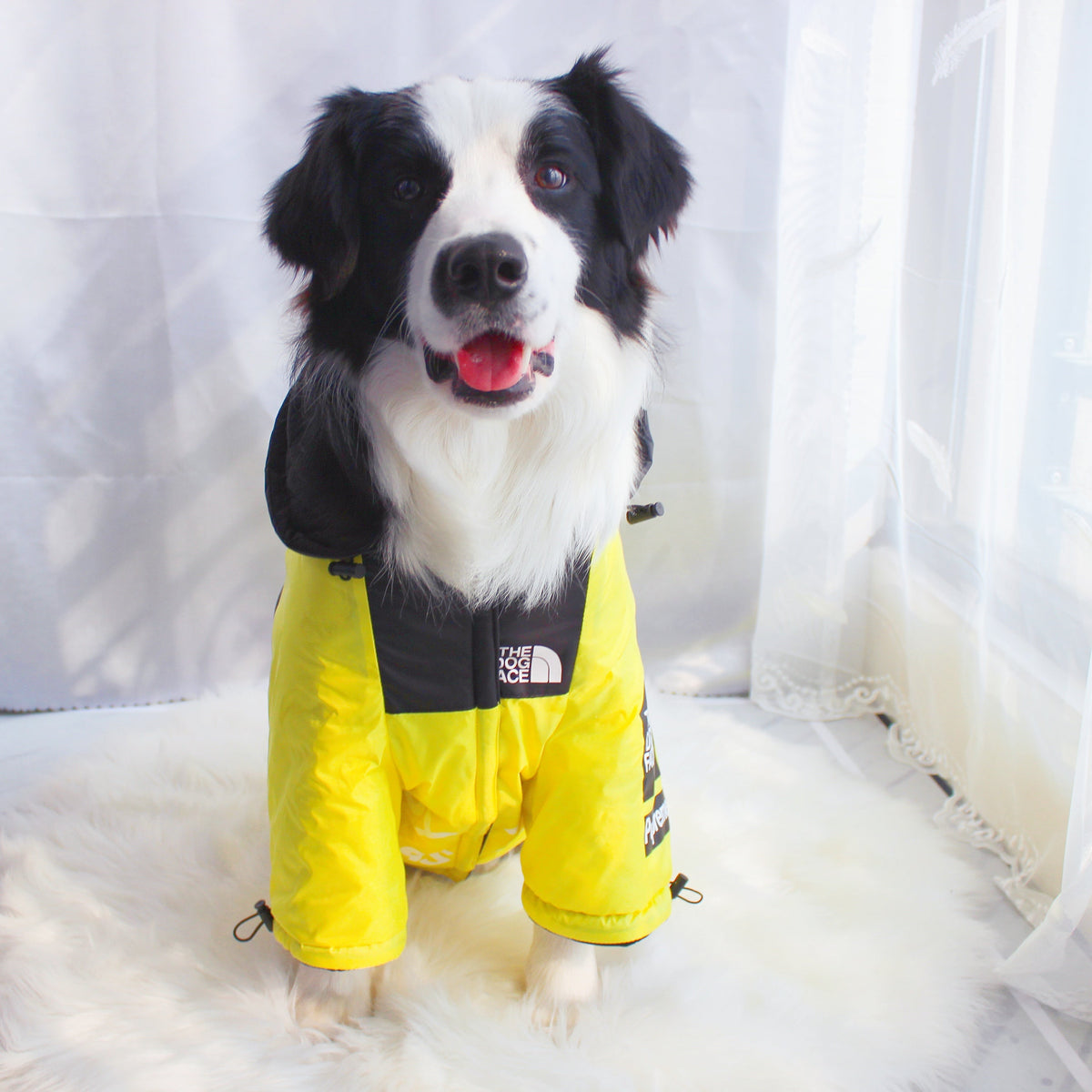 The Dog Face Windproof Waterproof Reflective Pet Cat Dog Jacket