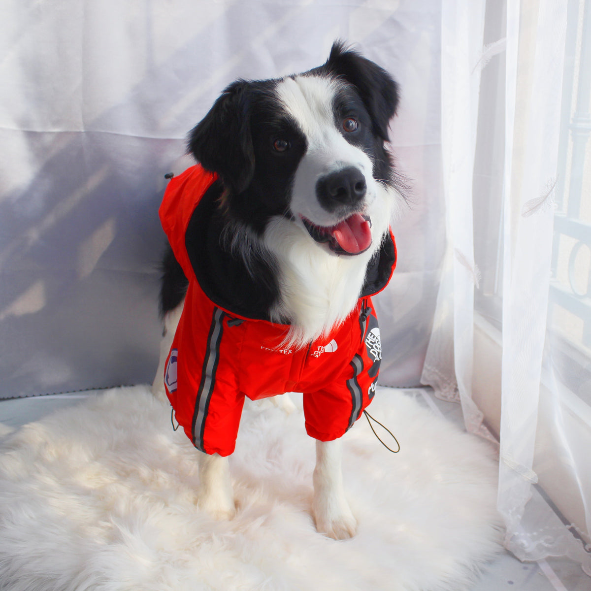 The Dog Face Windproof Waterproof Reflective Pet Cat Dog Jacket