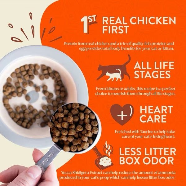 Earthborn Grain Free Primitive Feline Dry Cat Food