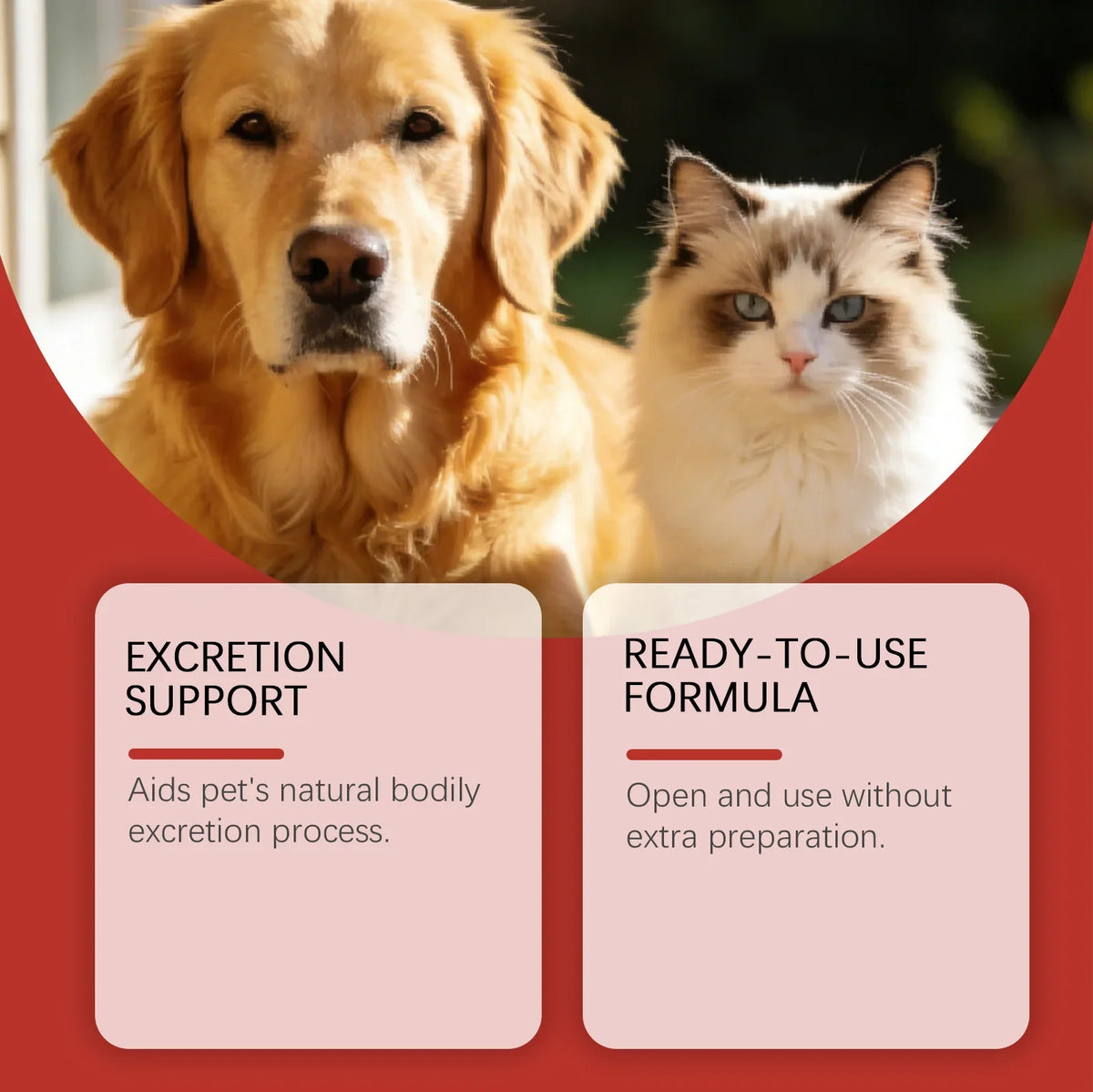 Coconut Shell Care Gel for Dogs Cats Intestinal Support Digestive Health Supplement Relief Digestive Balance Gut Health Care