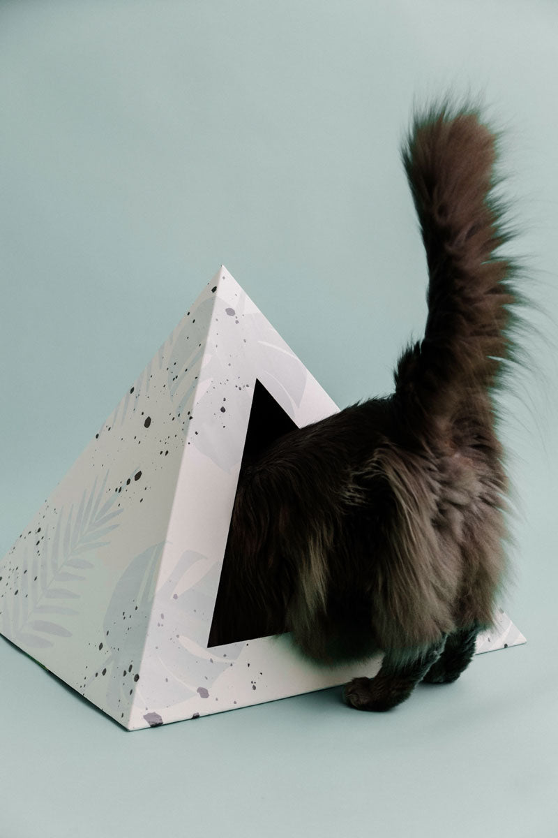 'Oasis' Cardboard Cat Pyramid