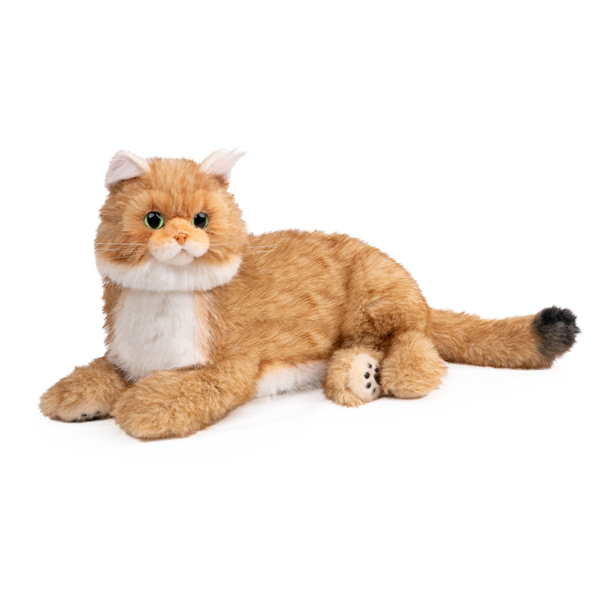 Percy 2.0 Golden British Short Hair Cat- Breathing  Heartbeat Pur,Voice Robonic Cat