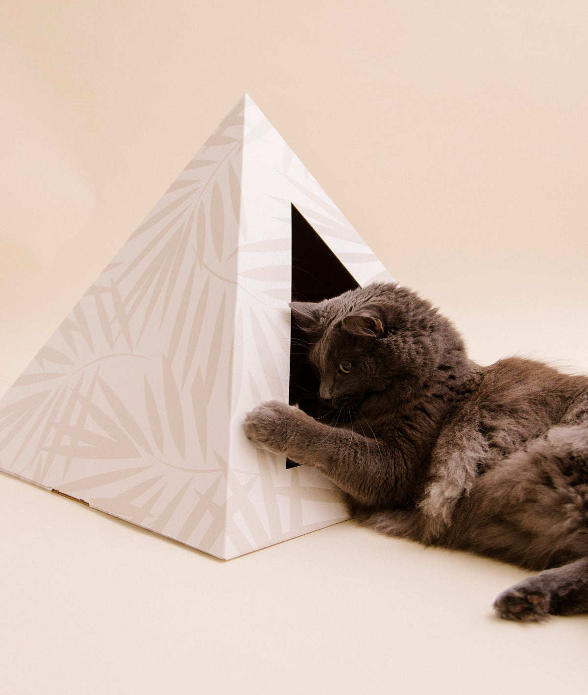 'Neutral Palm' Cardboard Cat Pyramid