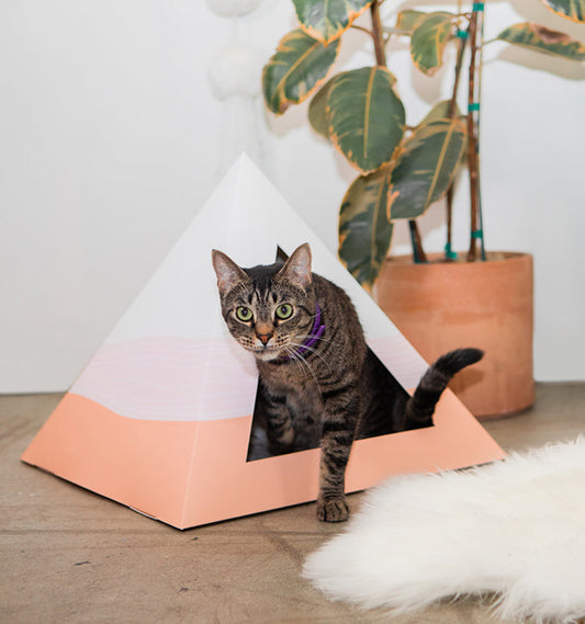 'Wavey' Cardboard Cat Pyramid