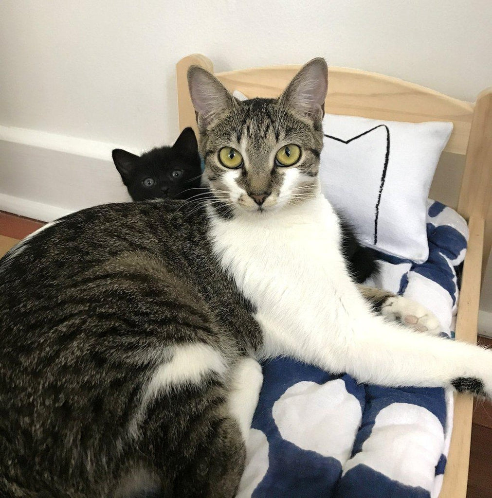Cat Kicker Bed Pillow Catnip Kicker Toy